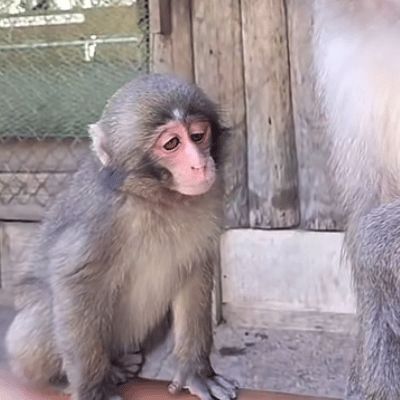 日历能给点奖励不截图