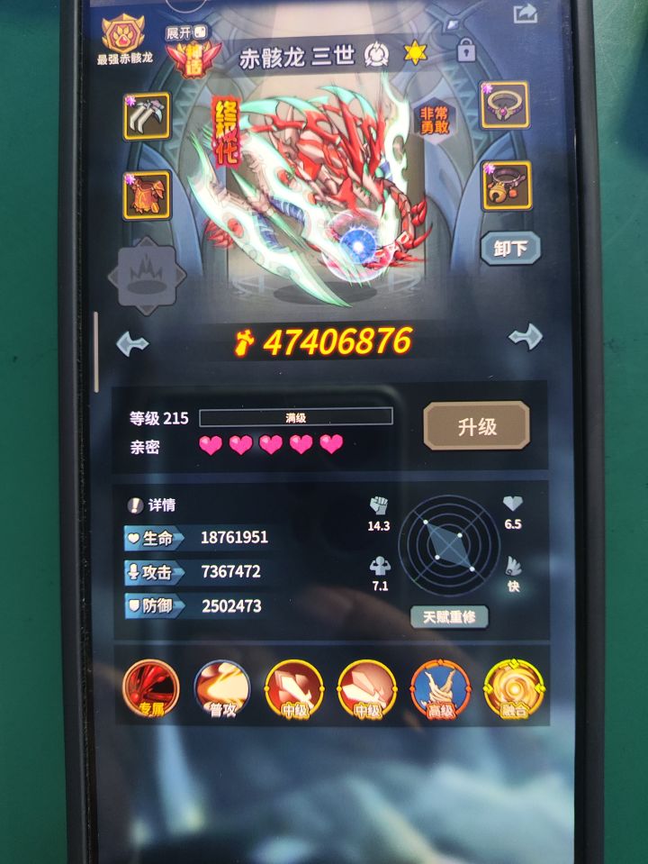 有没有大佬指点一下，怎么把这个极攻击和树皮搞到龙身上？截图