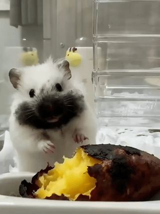 关于最基础的战法截图