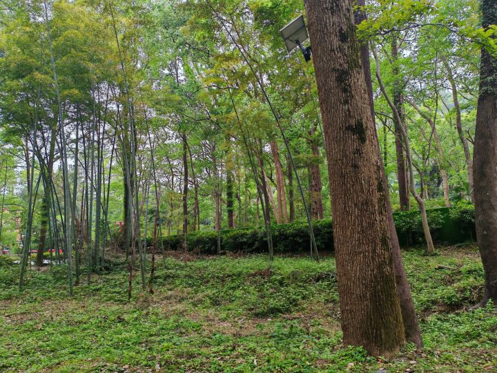 秀峰石刻截图