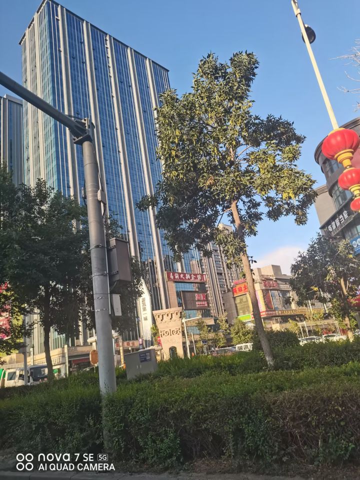 随手拍截图