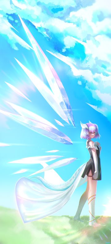 晶莹剔透的翅膀