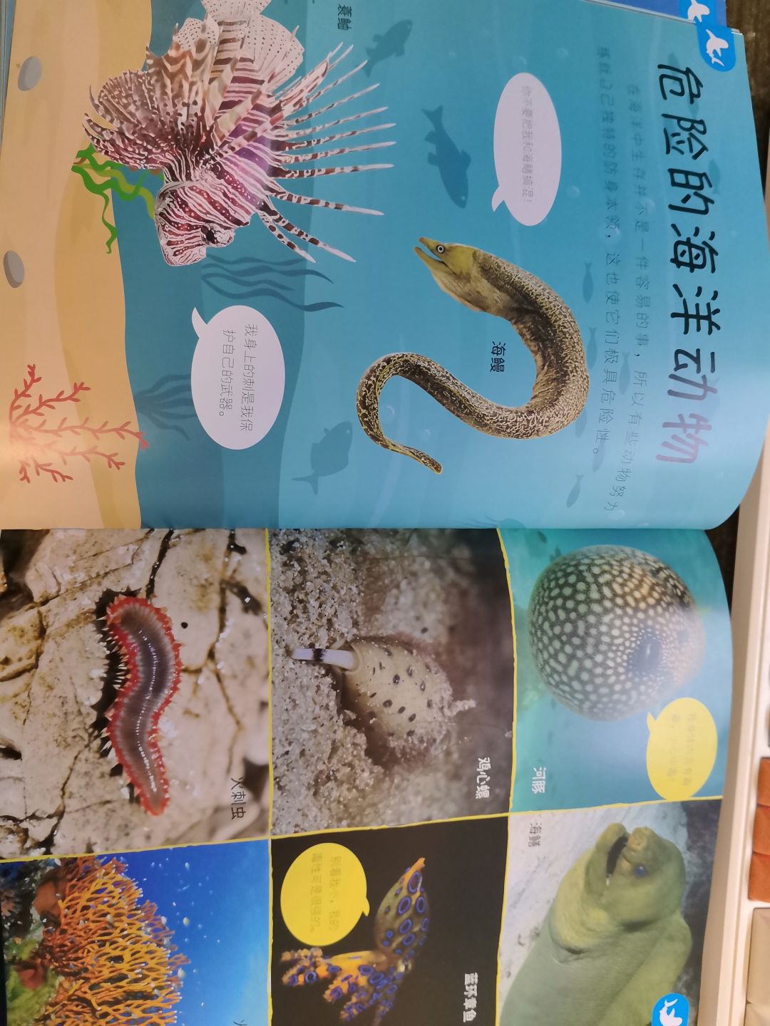 加深对游戏的理解 2