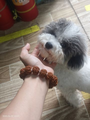 在座的各位老登氵怪，我有个问题