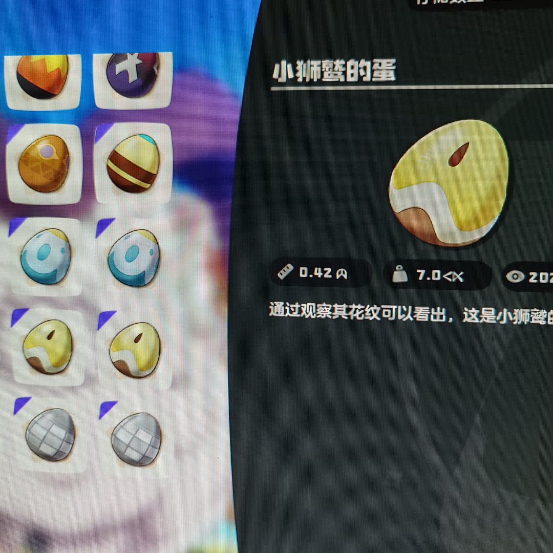 满重御三家伊兰龙高山狮鹫琪琪 6