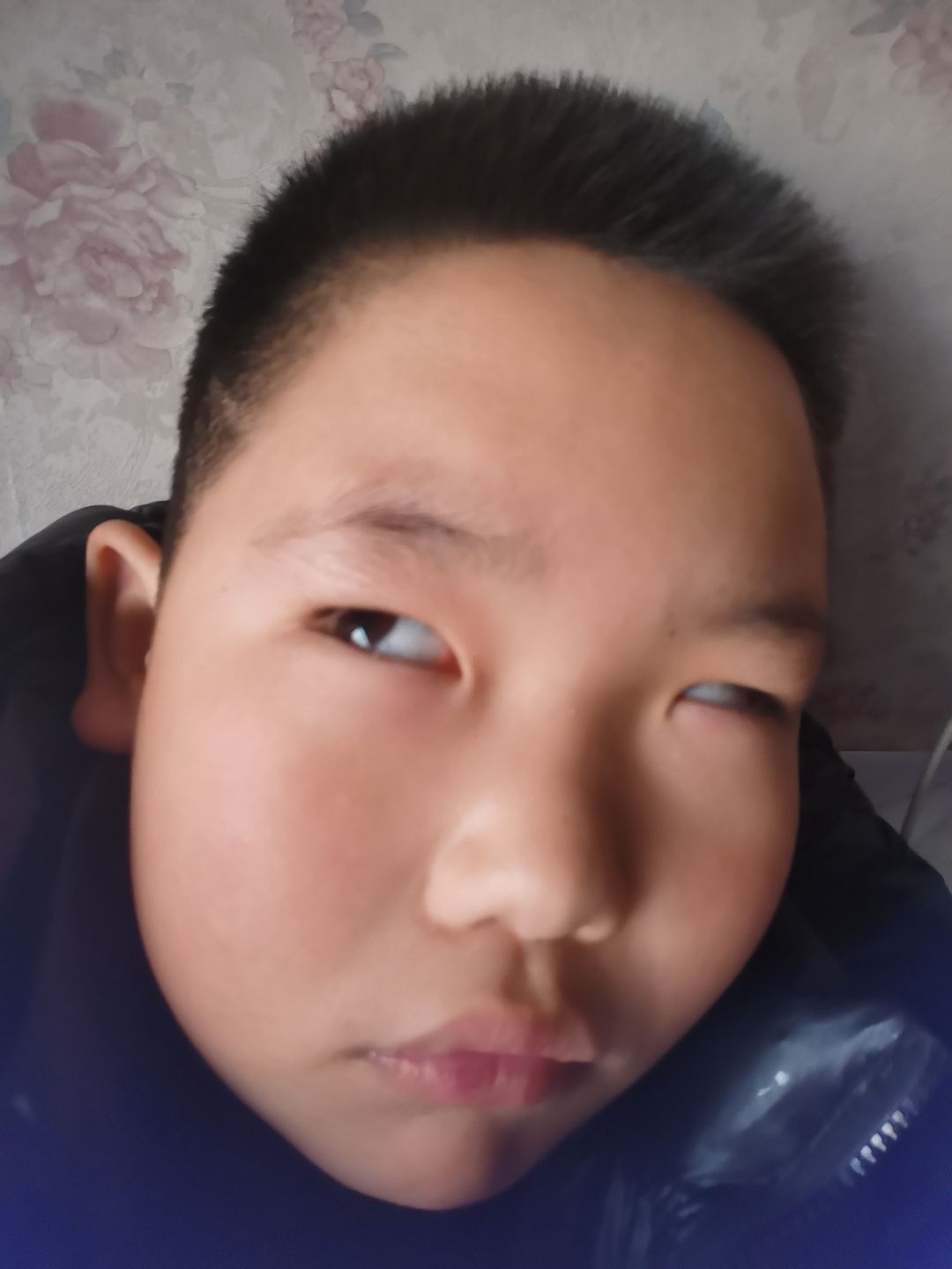 动态图片 3