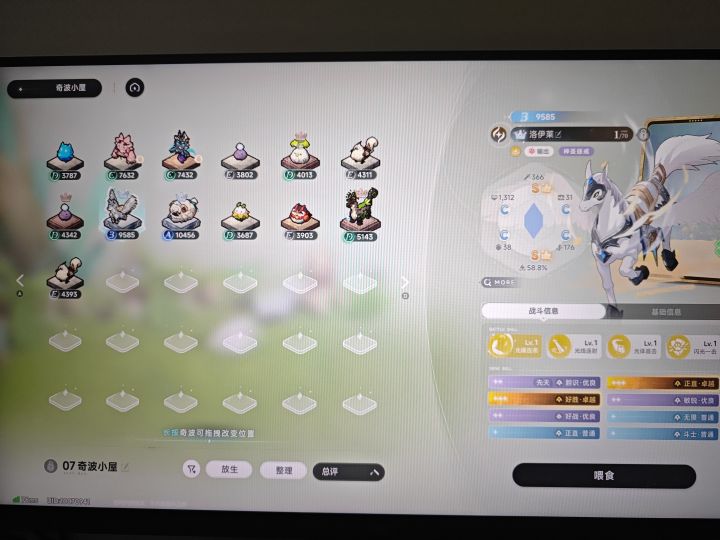这游戏的专宠何意味截图