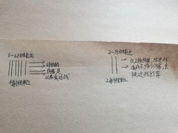 950分2v2个人理解：2、4射程远程单位的用法与不同