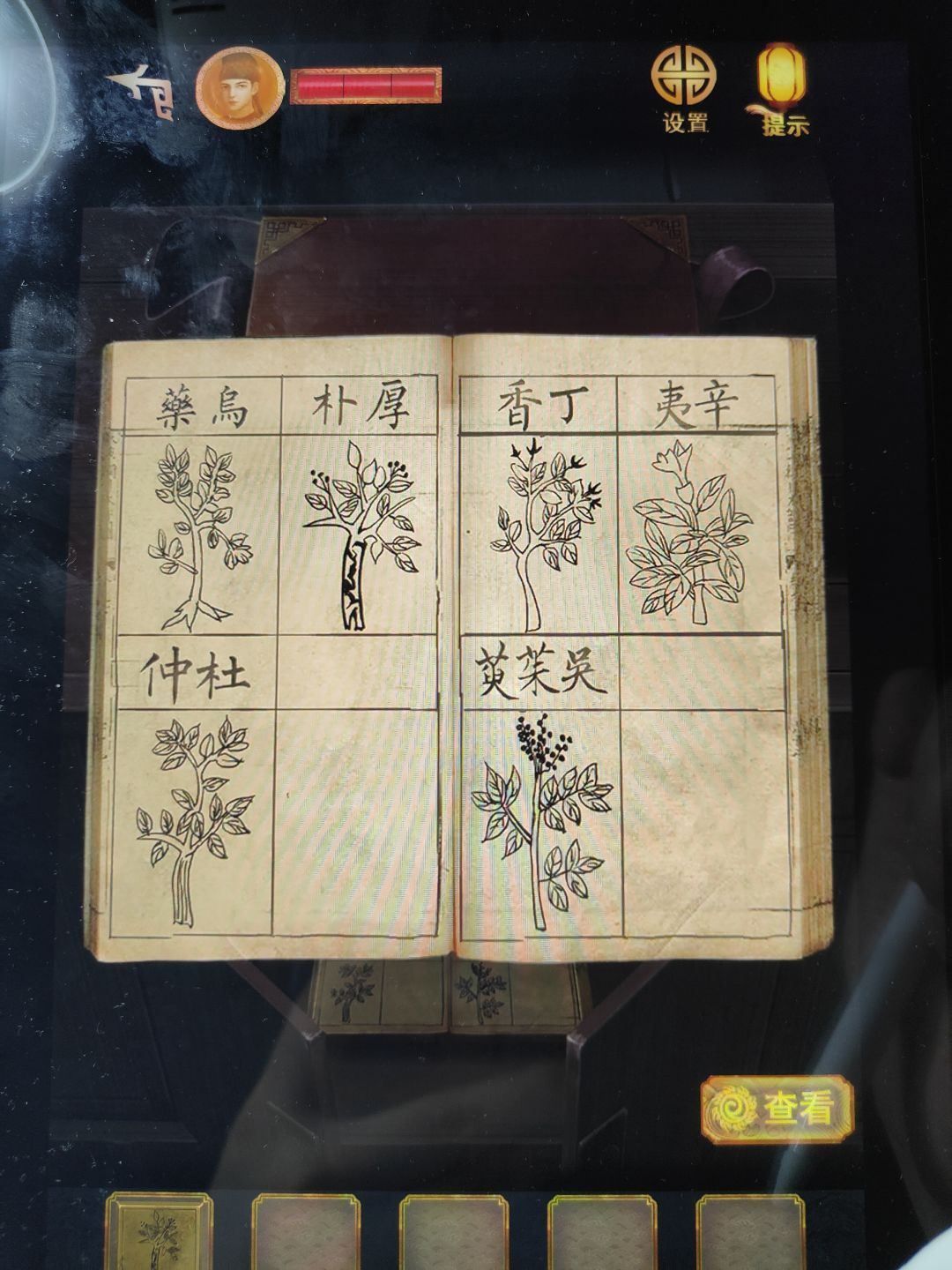 动态图片 2