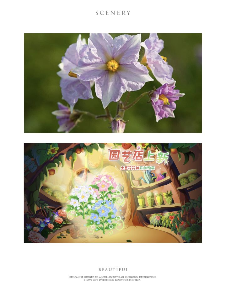 土豆花种限时上线啦截图