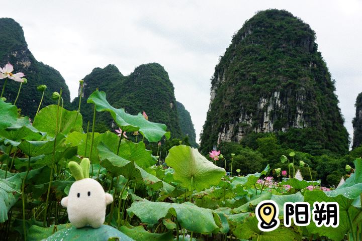 萝生是旷野~截图