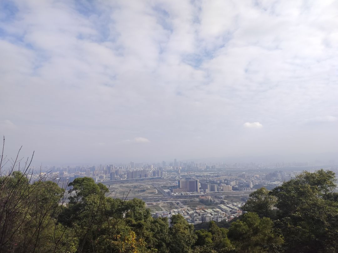 關於第一次自己爬山登頂 2