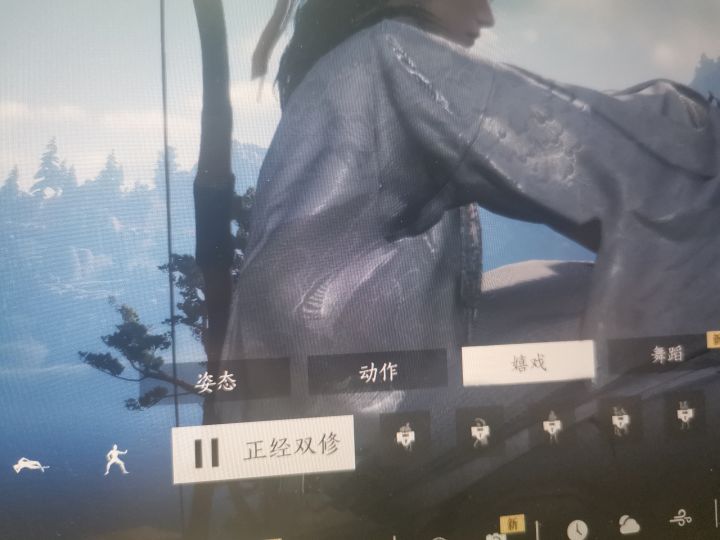 什么叫正经双修截图