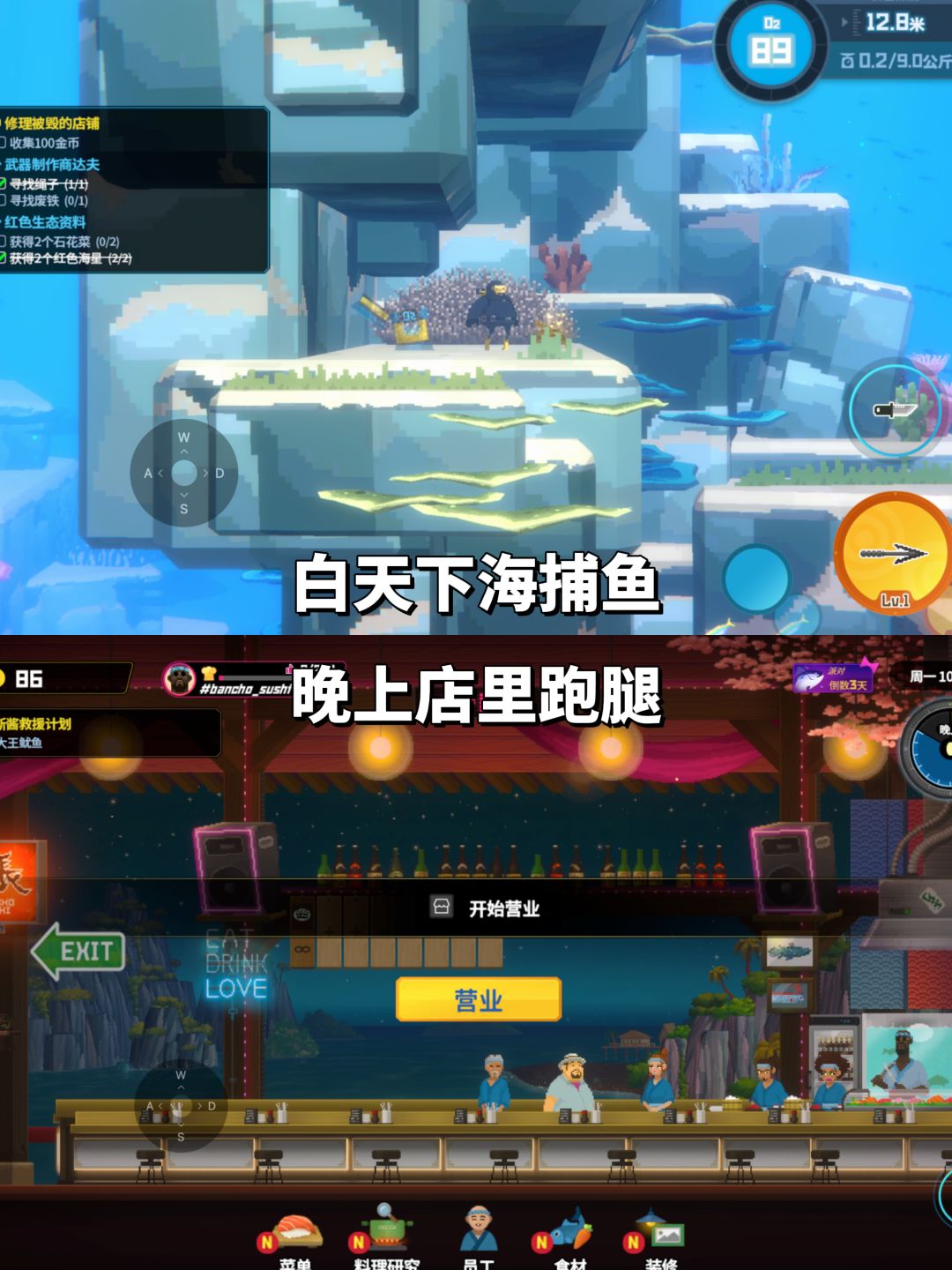 潜水员戴夫手机版体验:这鱼摸得让人上头 3