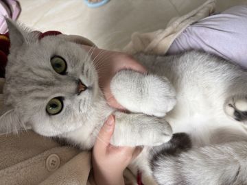 被遗忘的前期神器——【肥料枪】和【化肥】