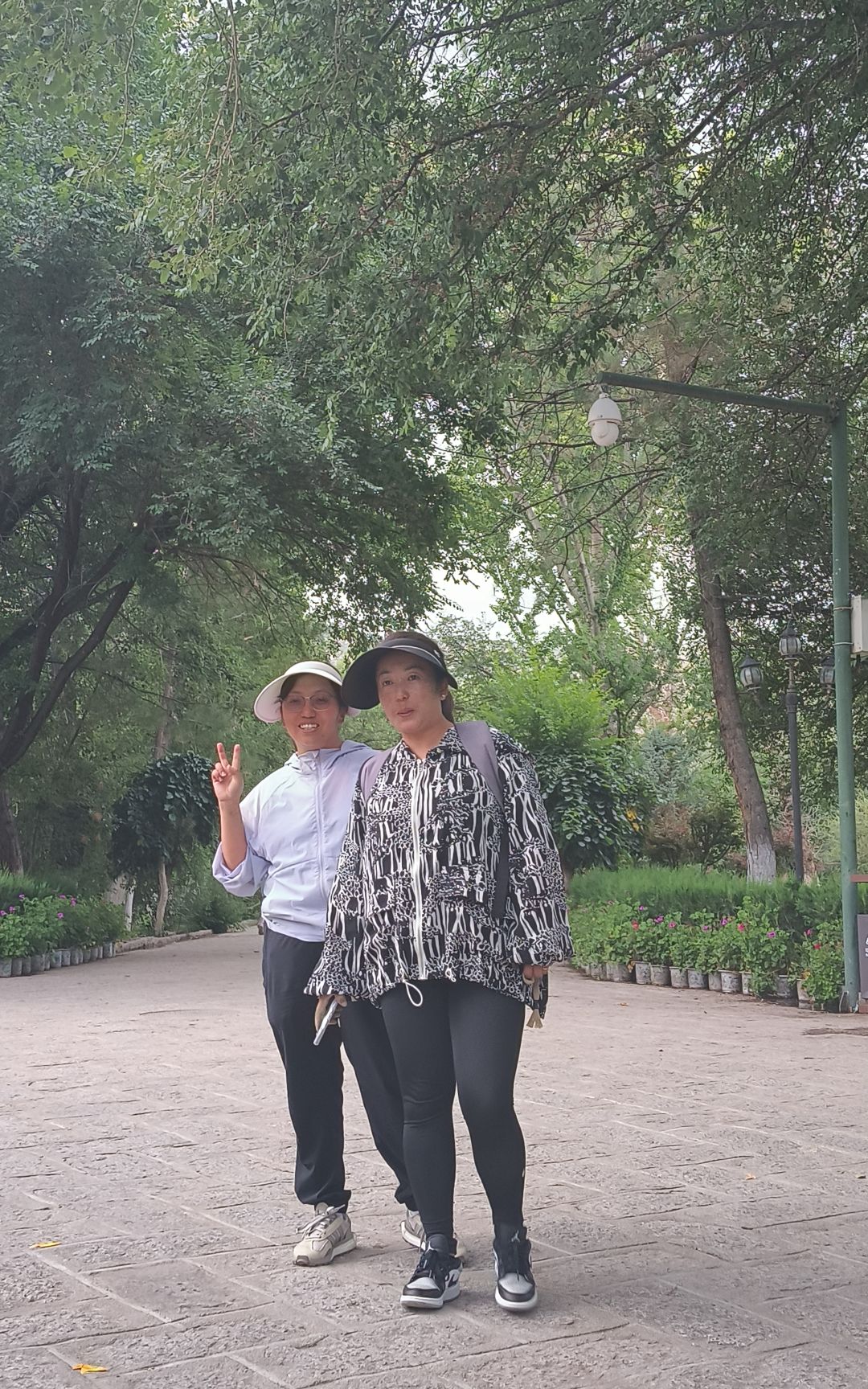 动态图片 4