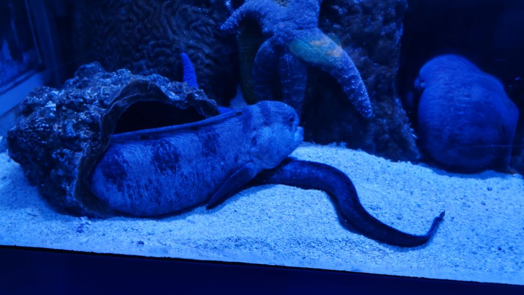 海洋公园 2