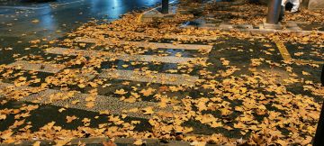 最近大家真别斗地主了（稳定当地主的除外）