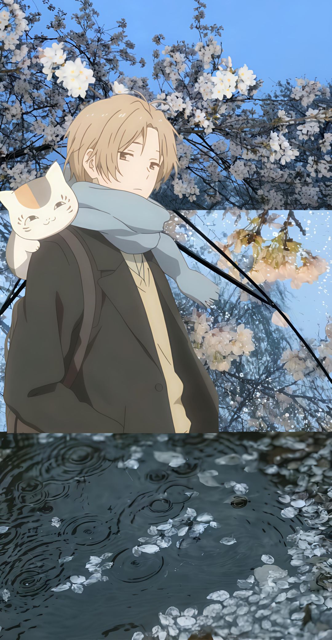 微区有群吗 1