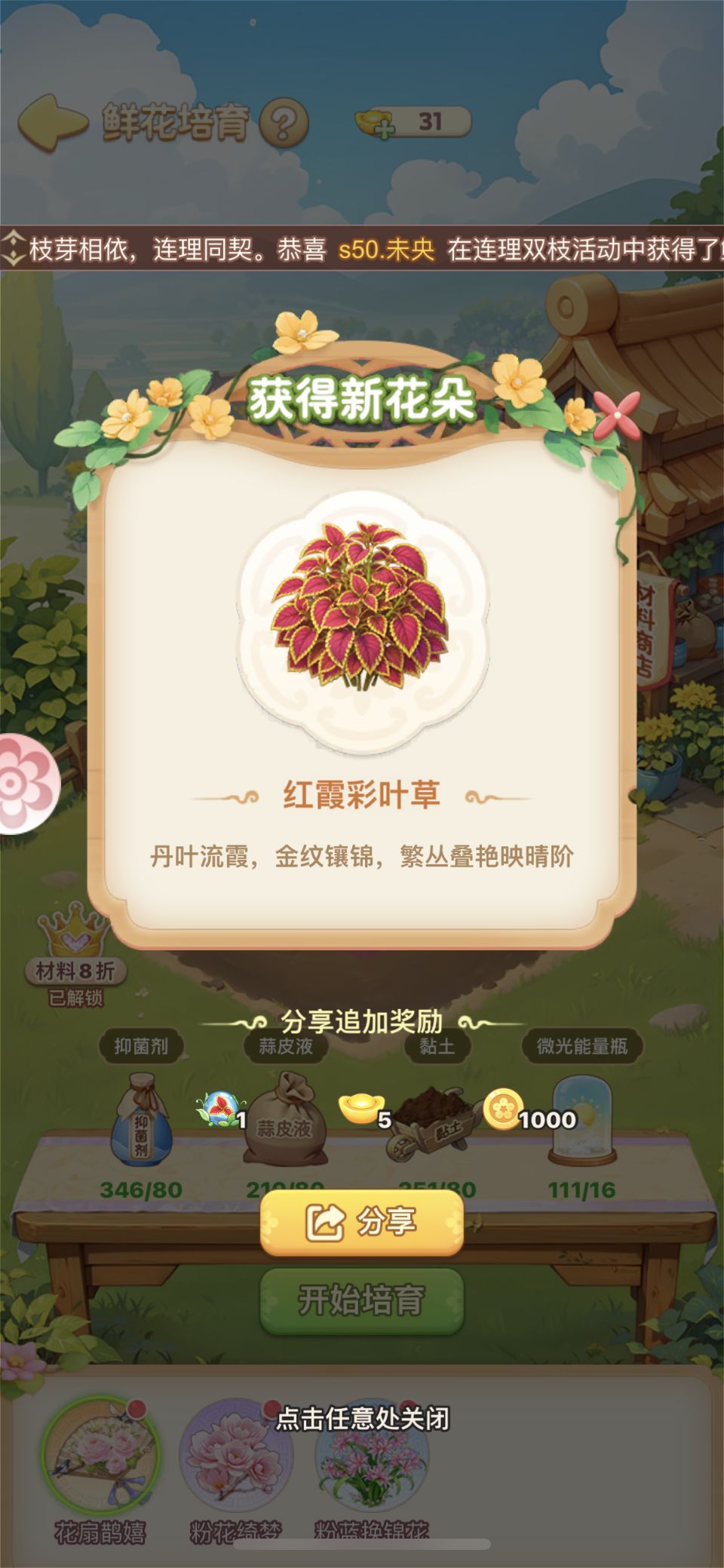 好看的花 1