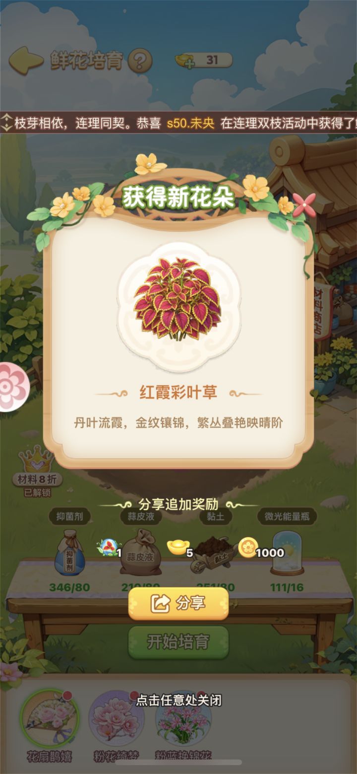 好看的花截图