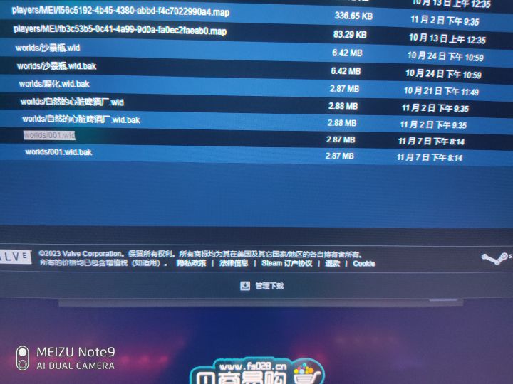 steam云存档截图