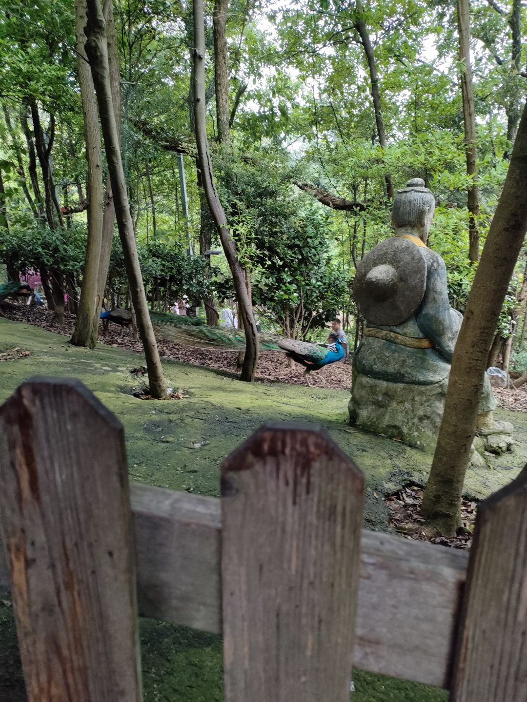 动态图片 5