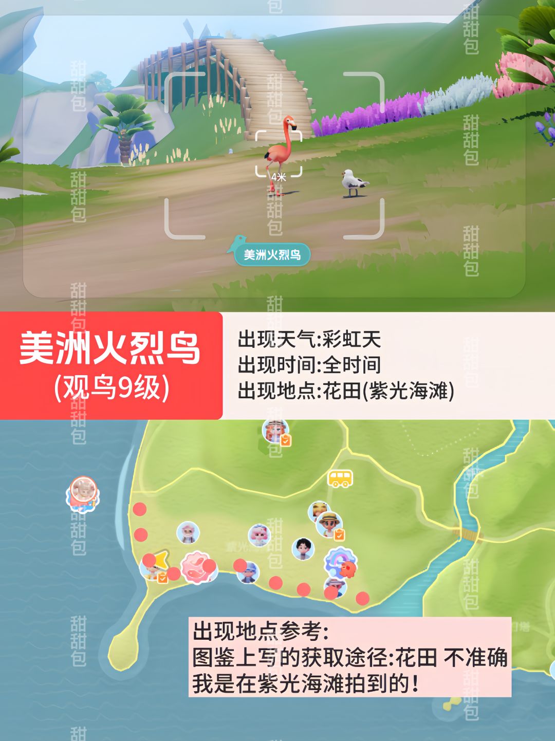心动小镇那些难找的鸟丨观鸟点位参考 2
