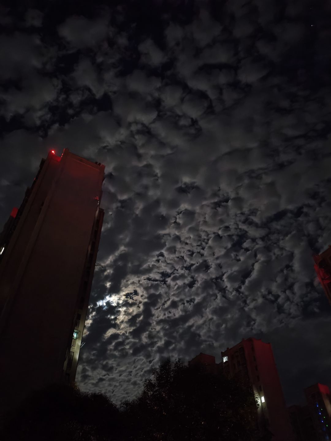 丧尸大军已到 1