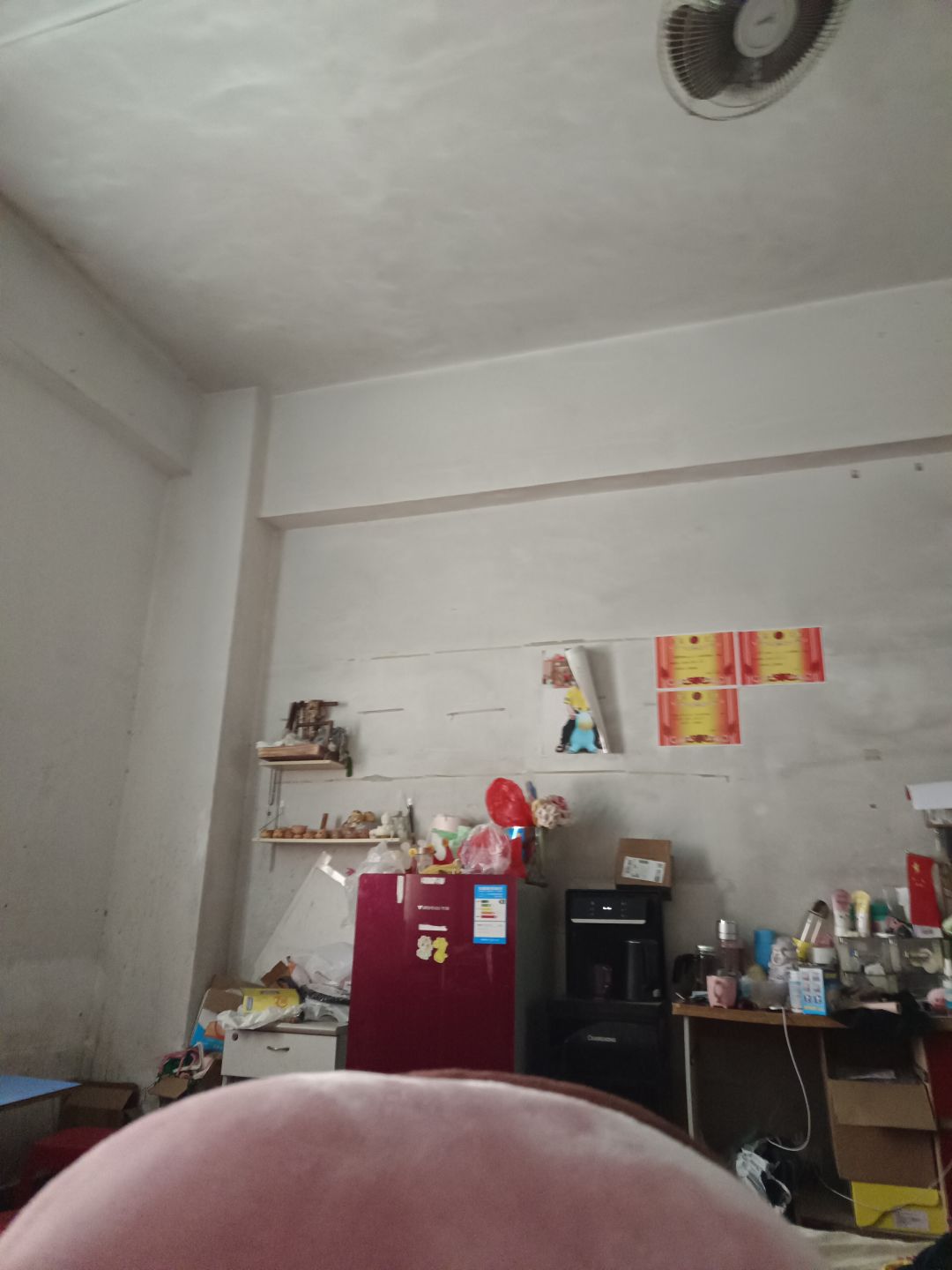 动态图片 7