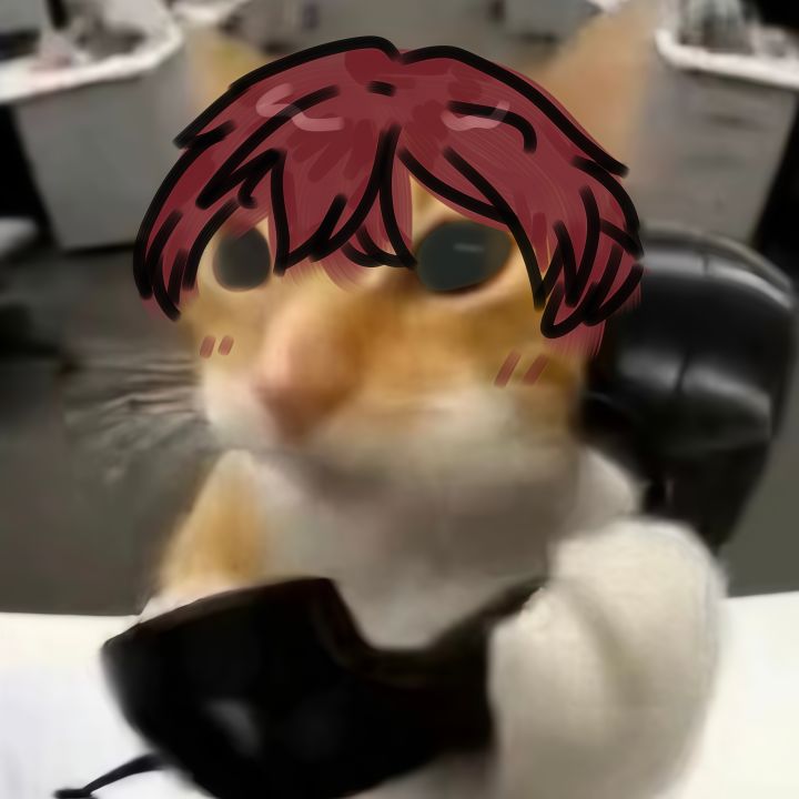 Lim猫猫吖截图