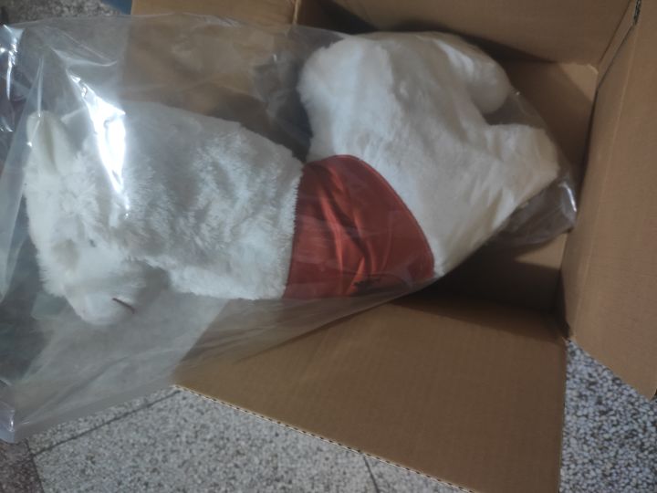 名将之奕的羊驼到了,比想象中大啊,开心截图