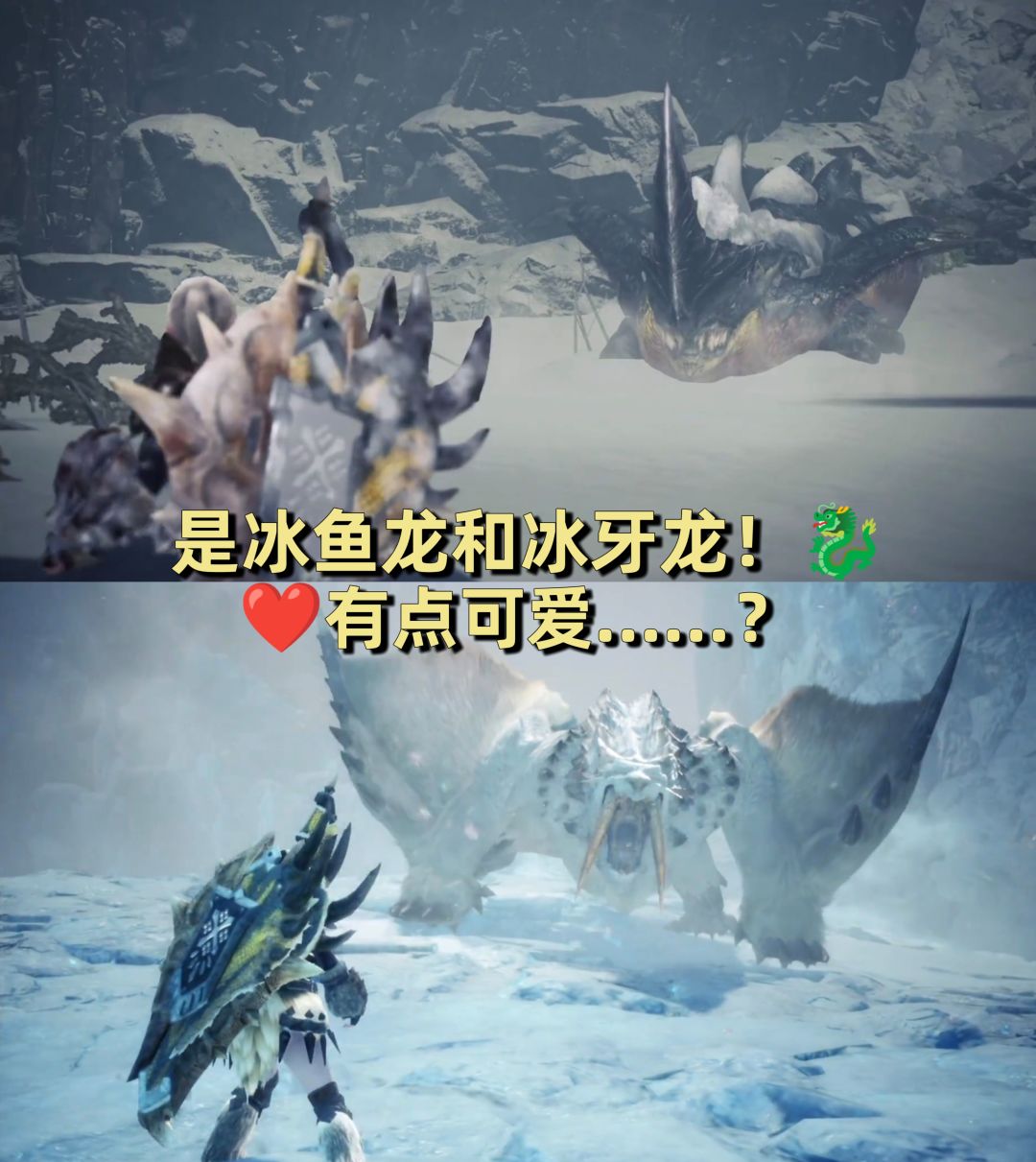 🐉龙年🧊冬季，一起来怪猎的冰原打猎吧！ 3