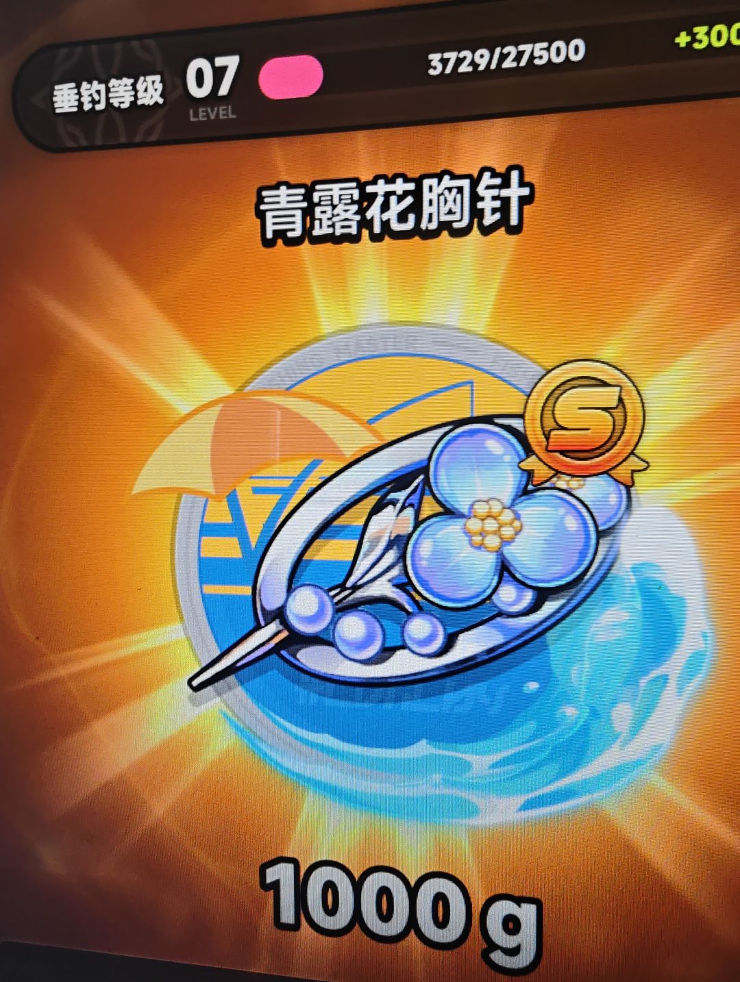 今天鱼获 6