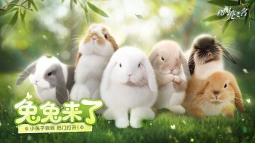 兔耳长长，摇摇晃晃，超萌兔兔系列就要正式登场啦！