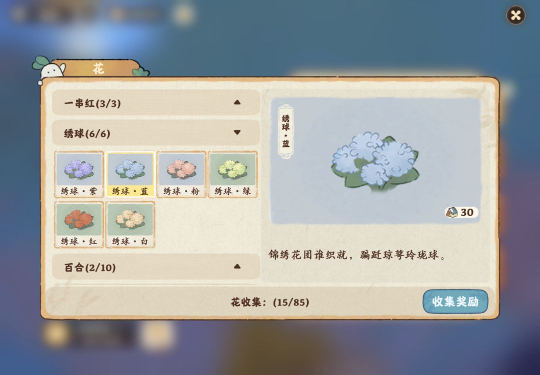 终于培育出蓝色绣球啦 1