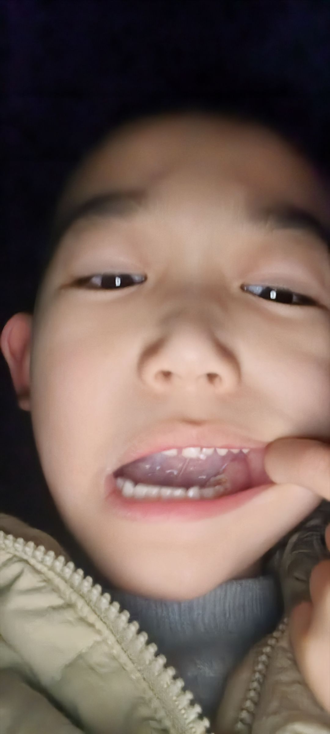 动态图片 13