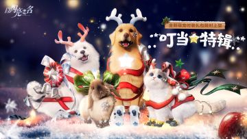 全新宠物礼包限时来袭！兔兔也加入时尚清单！