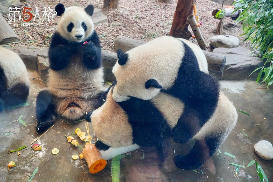 动态图片 3