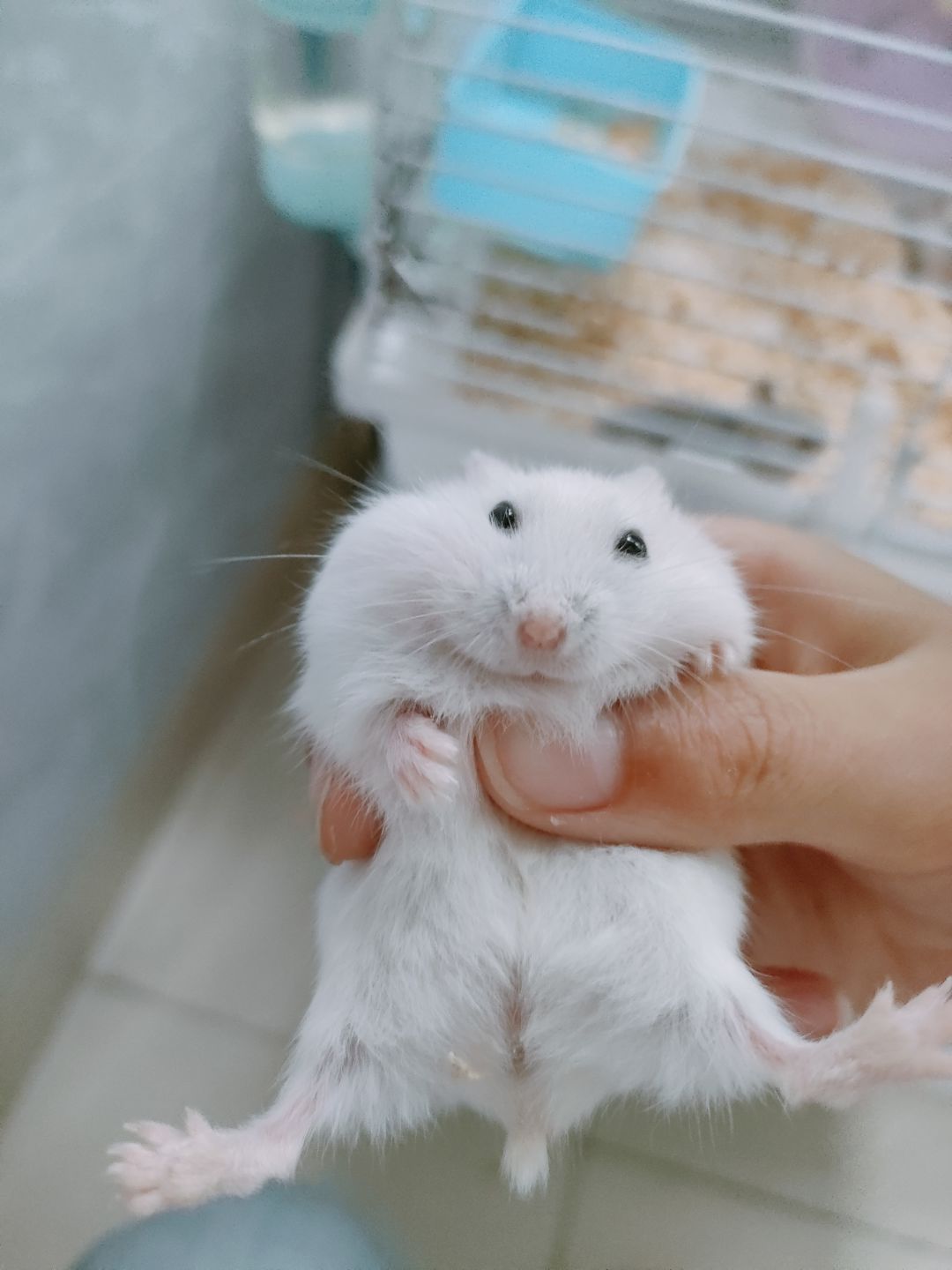 快放假了 3