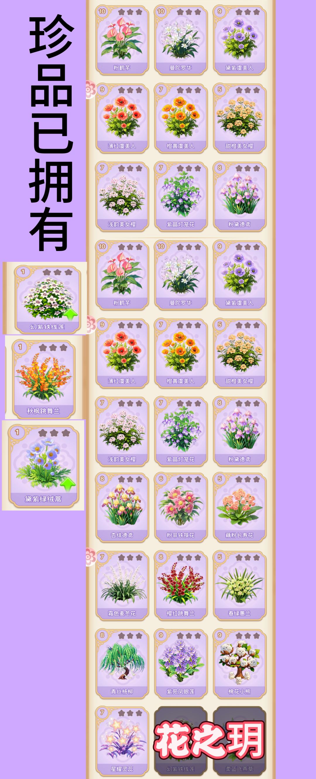 (换花,花架有花滴滴) 3
