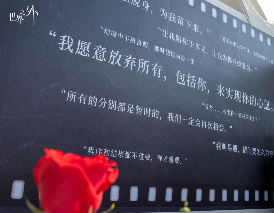 锦瑟华年 | 主题合影区 现场回顾 2