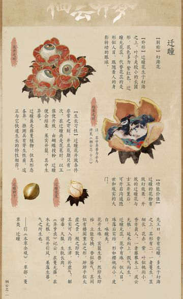 栖云志·一·迁瞳