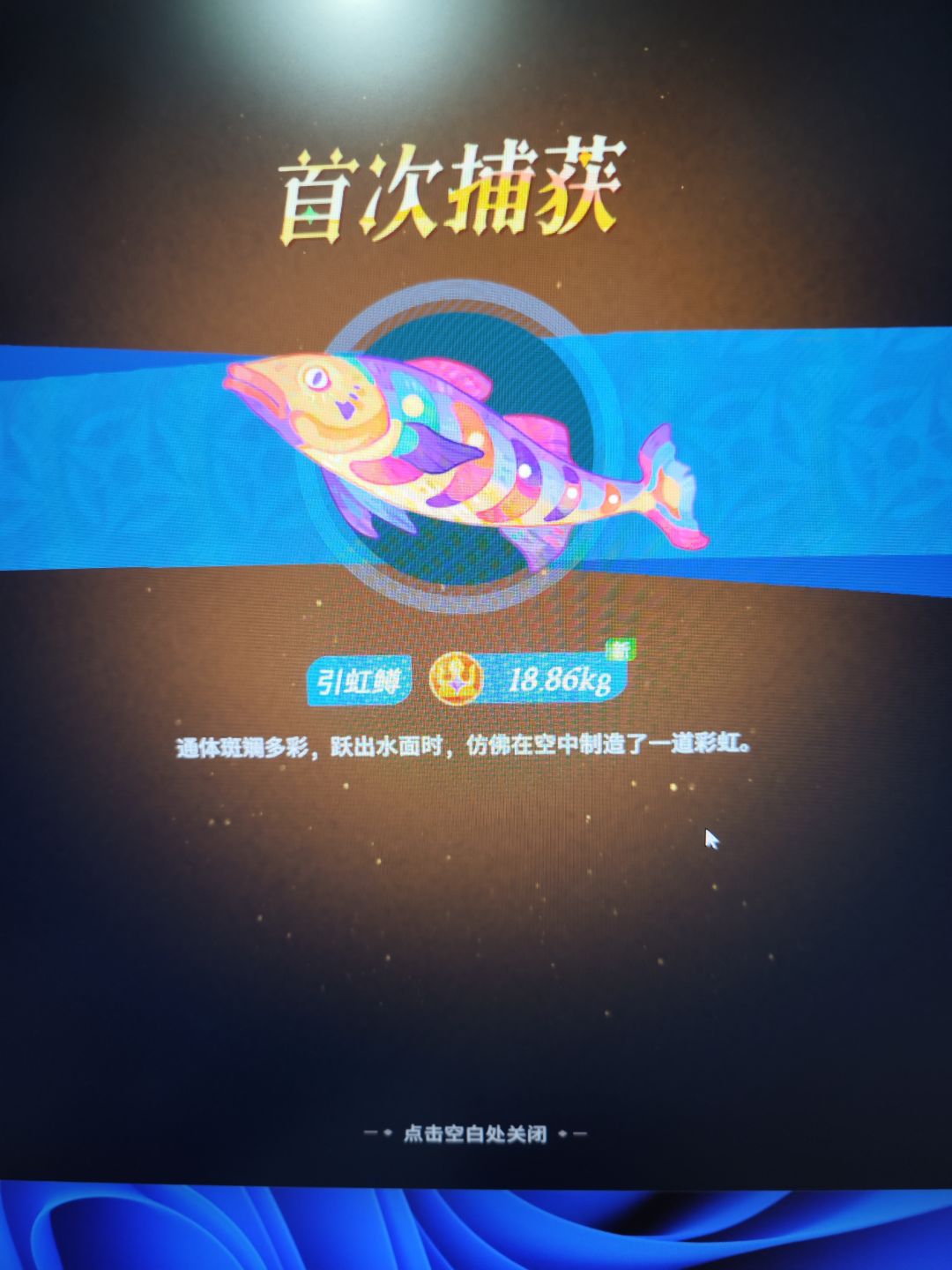 你怎么知道我吊到了大鱼 1