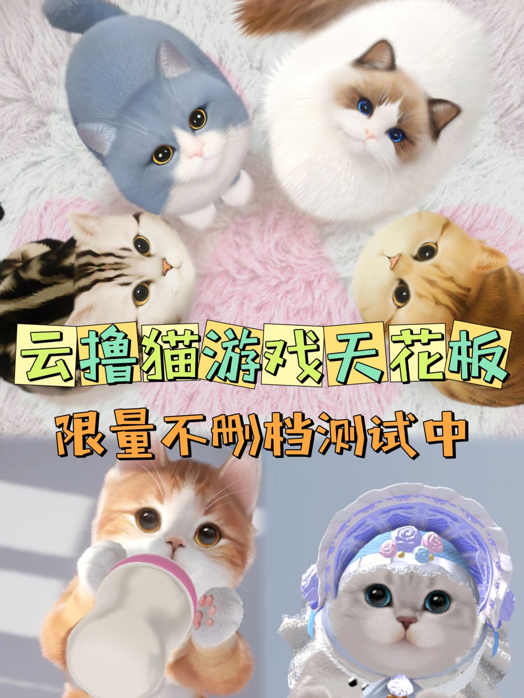 ✨测试试玩✨最棒的云撸猫游戏必须是它! 1