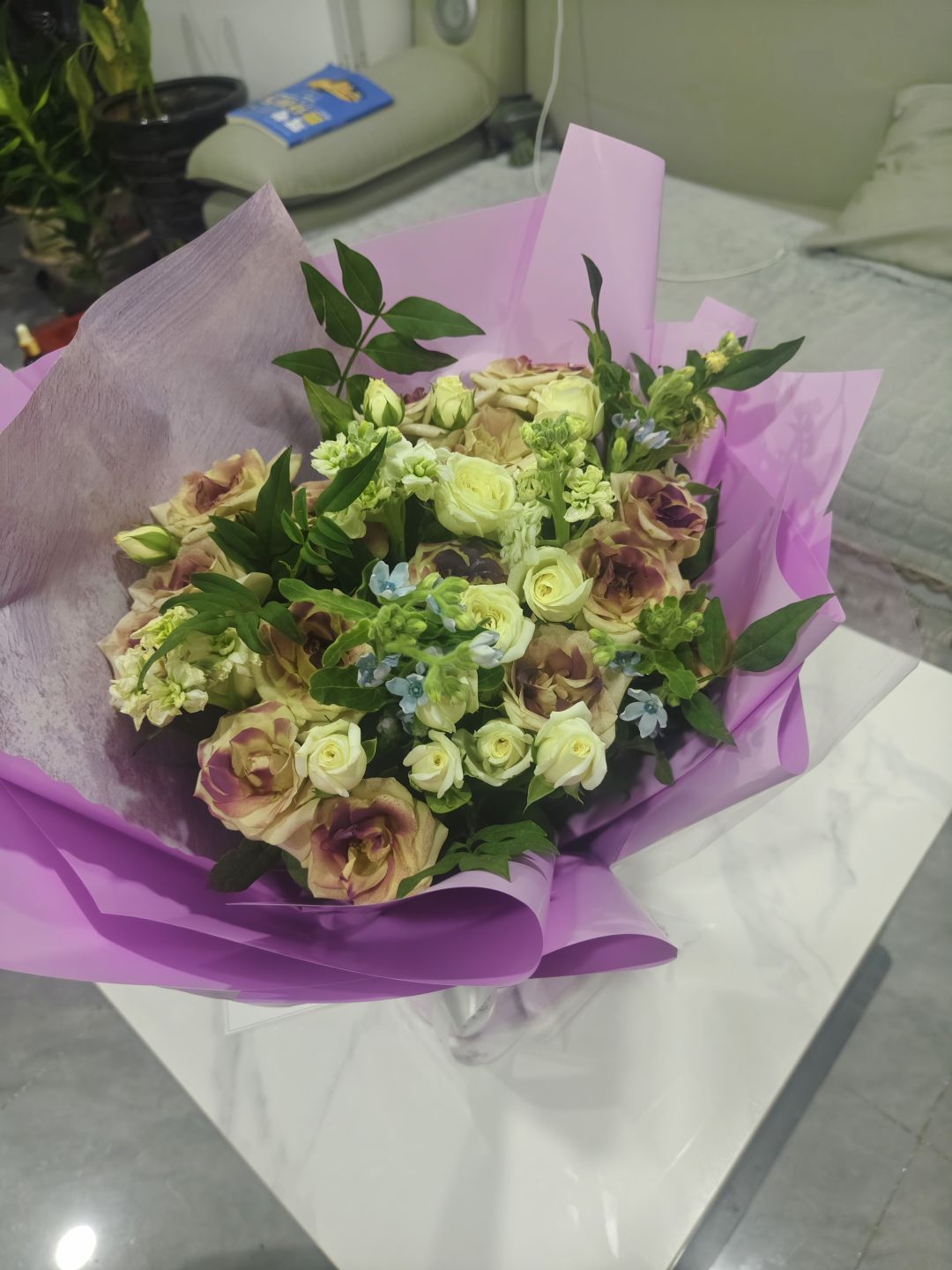 我的花园世界 3