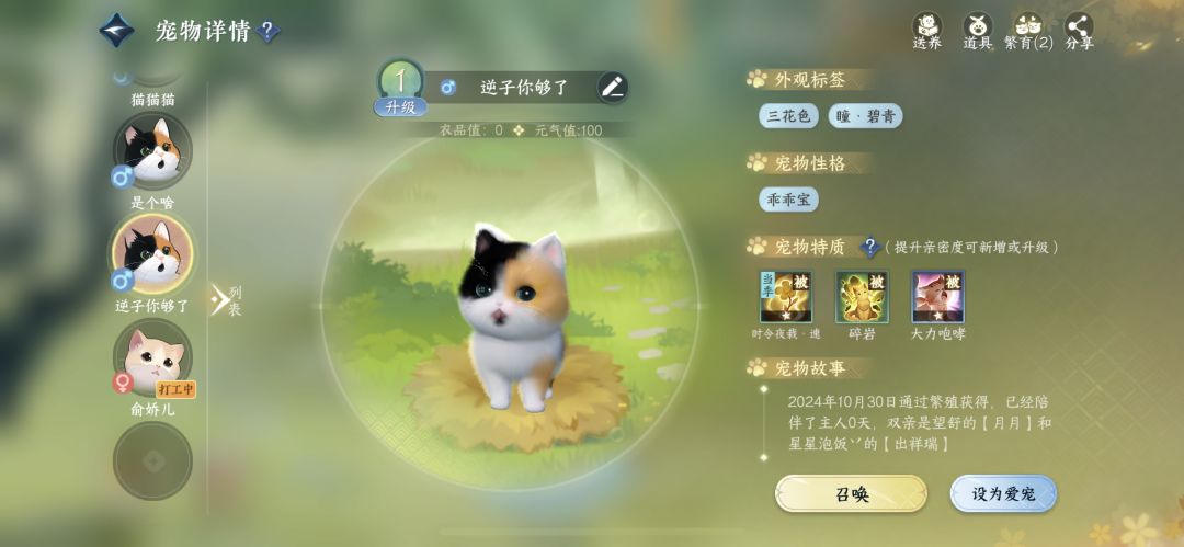 这育宠真的宠不了一点 4