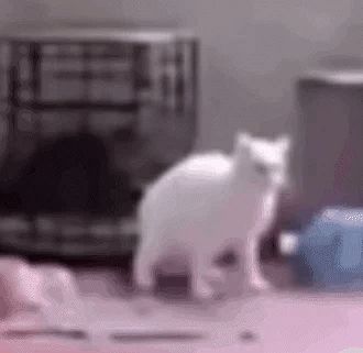 技术宅什么时候拯救世界截图