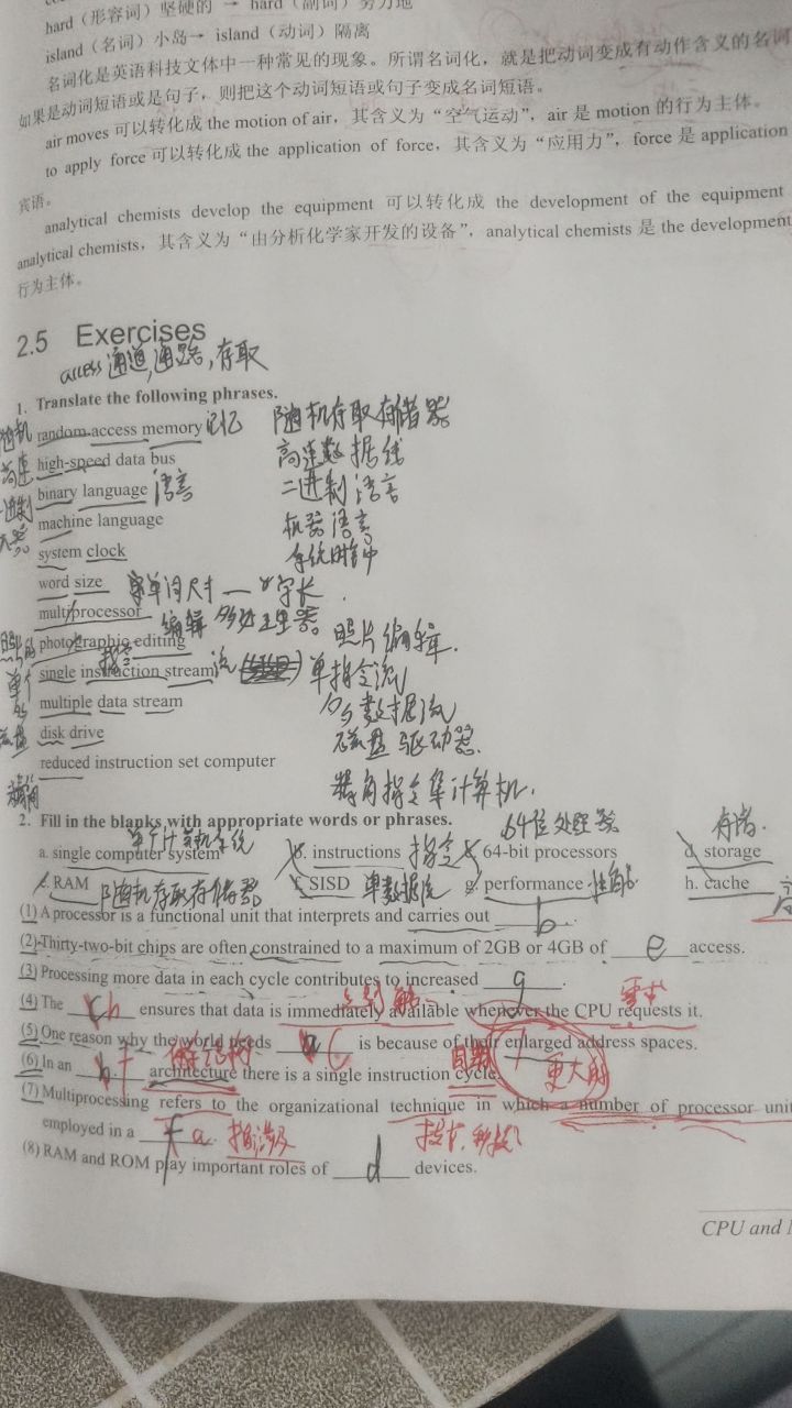 英语作业截图