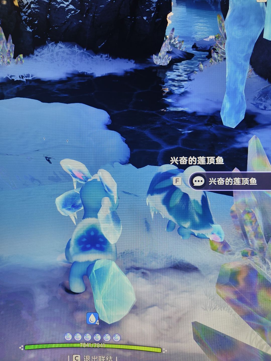 这里是不是会出现一只虹光萤冰龙? 1